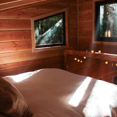 Cabanas Bosque Milenario Coñaripe Exteriér fotografie