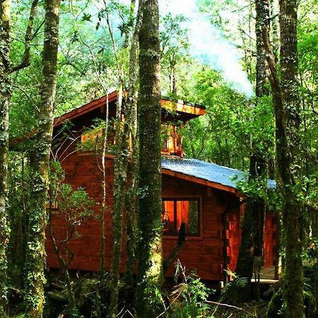Cabanas Bosque Milenario Coñaripe Exteriér fotografie