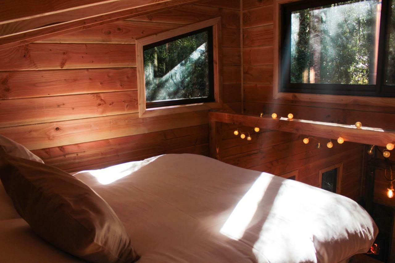 Cabanas Bosque Milenario Coñaripe Exteriér fotografie