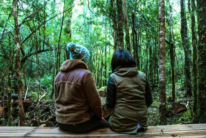 Cabanas Bosque Milenario Coñaripe Exteriér fotografie