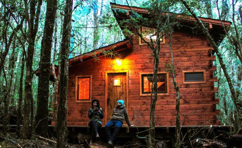 Cabanas Bosque Milenario Coñaripe Exteriér fotografie