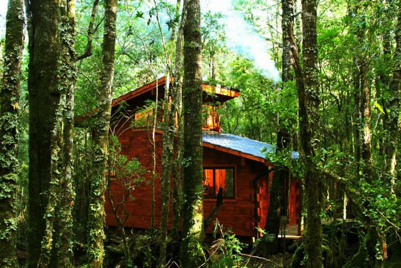 Cabanas Bosque Milenario Coñaripe Exteriér fotografie