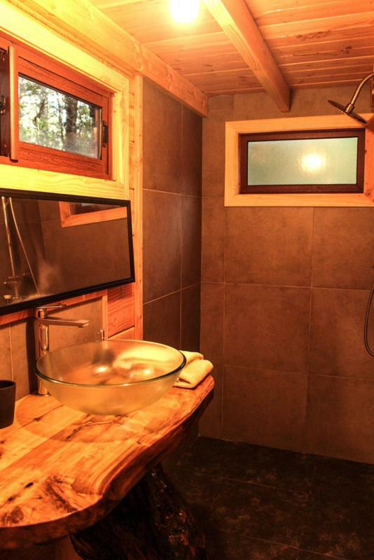 Cabanas Bosque Milenario Coñaripe Exteriér fotografie