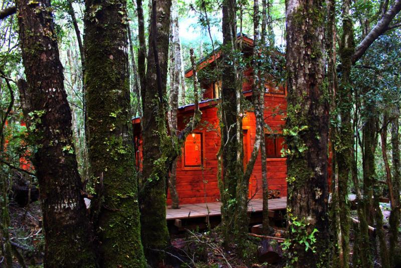 Cabanas Bosque Milenario Coñaripe Exteriér fotografie